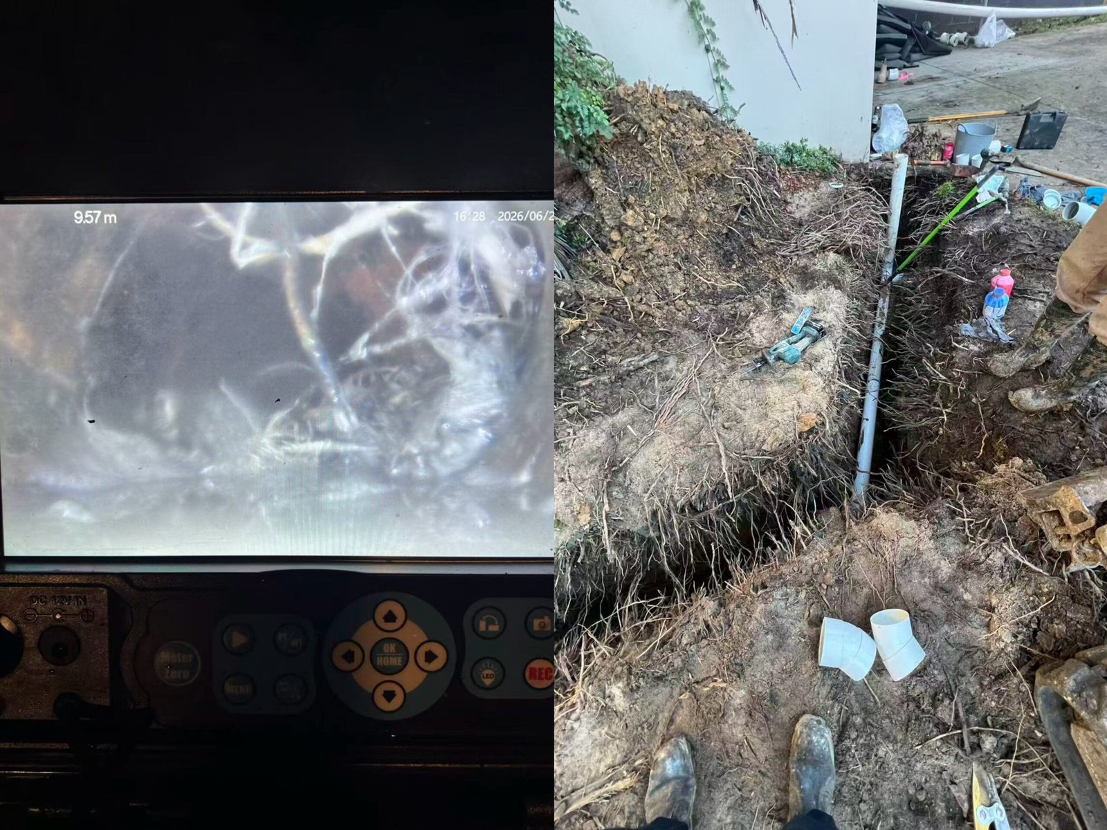 Tree root blockage
