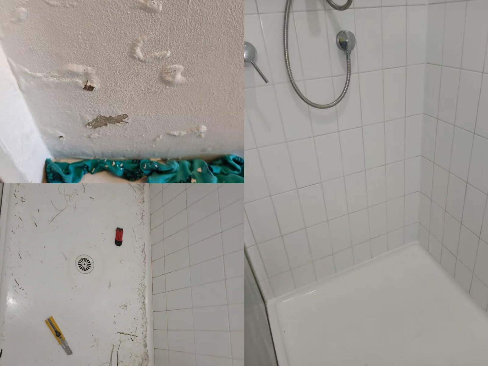 Shower leak investigation